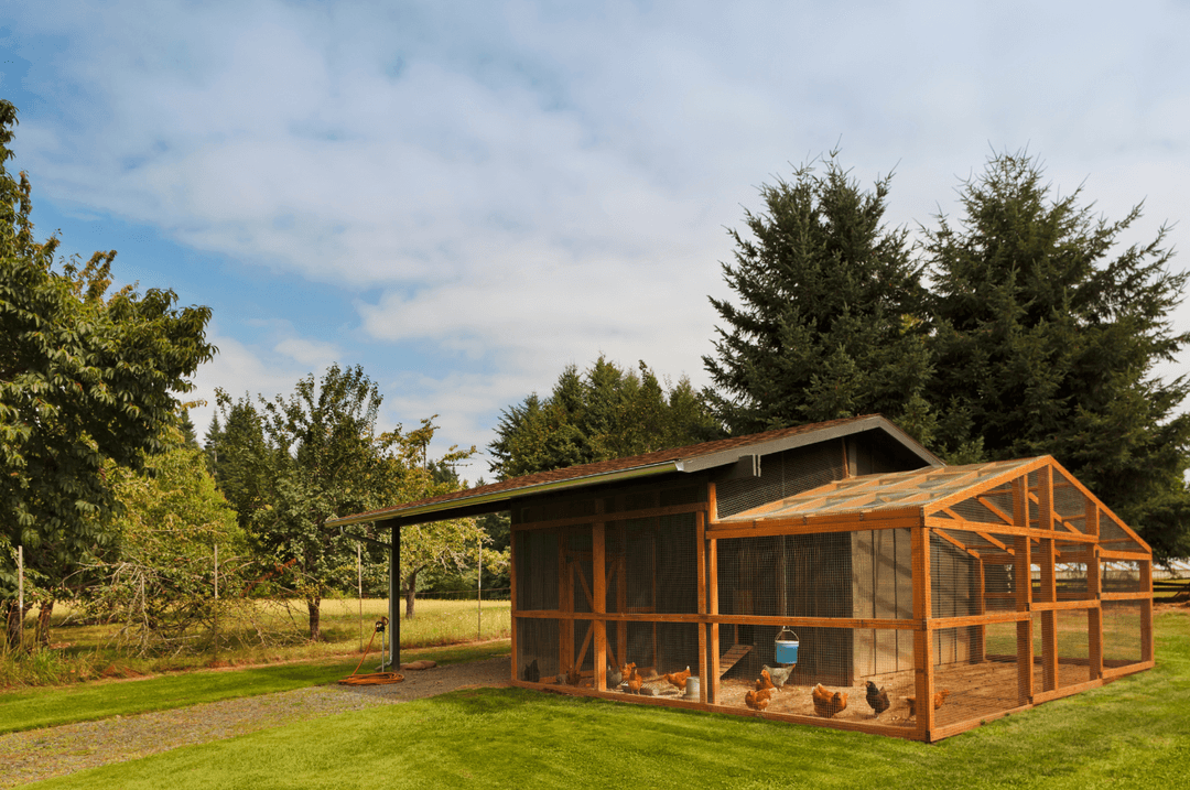 Poulailler en bois