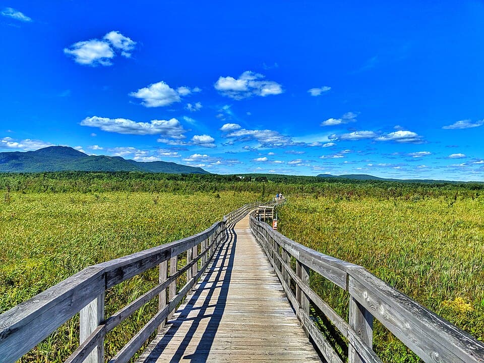 Nature Magog
