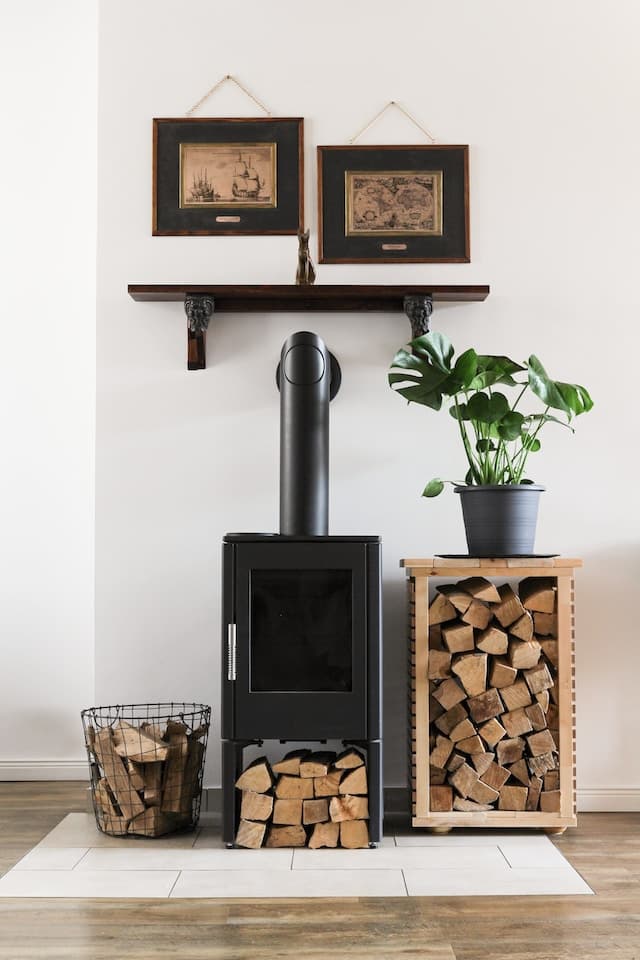 Foyer avec du bois de chauffage