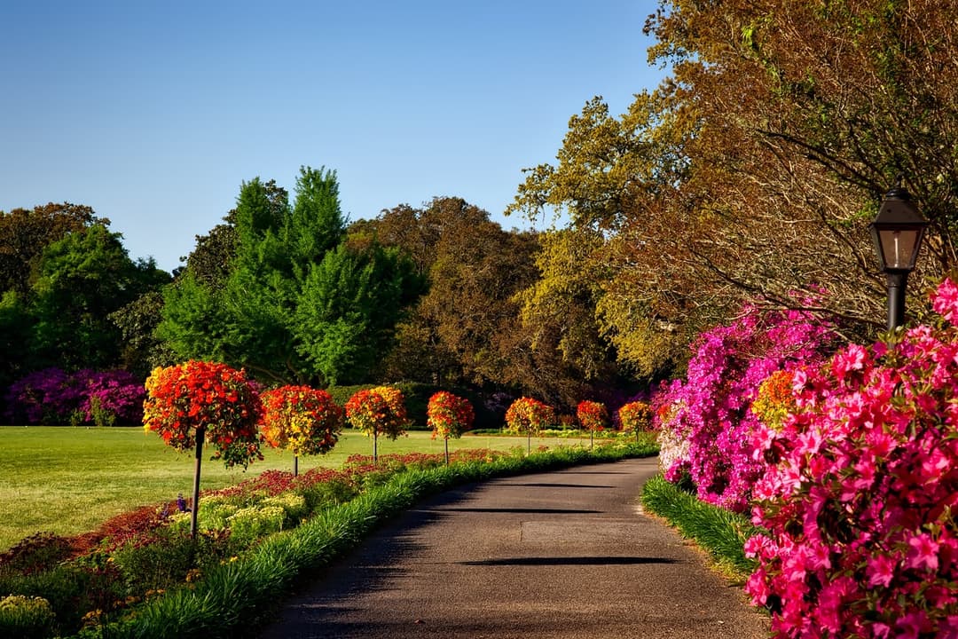 Parc coloré Saint-Jérôme