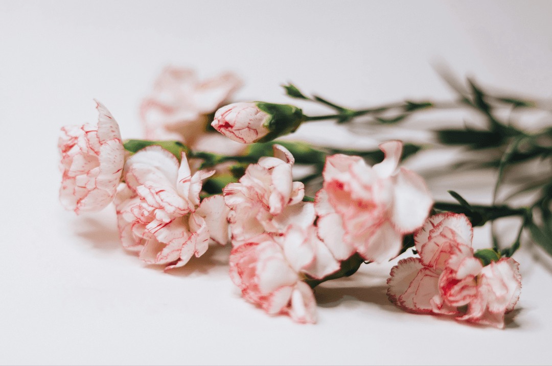 Fleurs roses