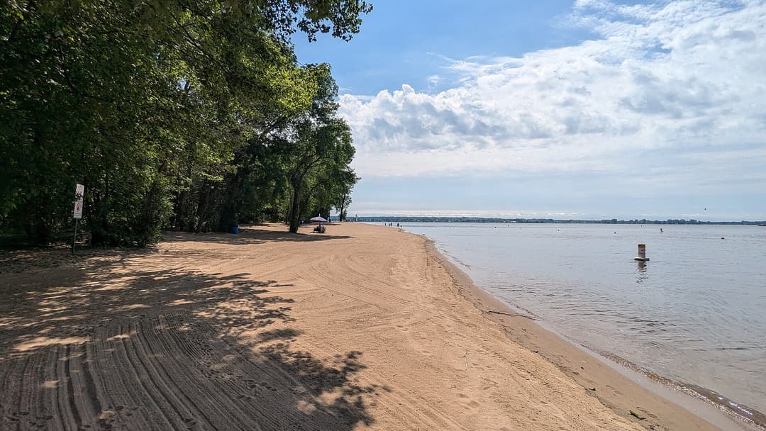 Plage avec arbres