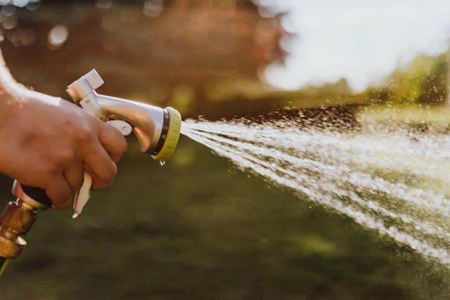 Boyau d'arrosage crachant un jet d'eau