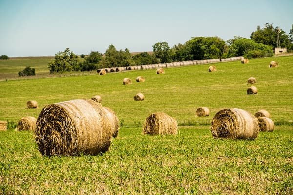 Les éléments à vérifier avant d'acheter en zone agricole au Québec