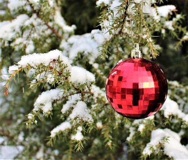 Un arbre de noël dans un jardin en extérieur