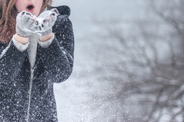 Prévenir les dommages de l'hiver, c'est possible !