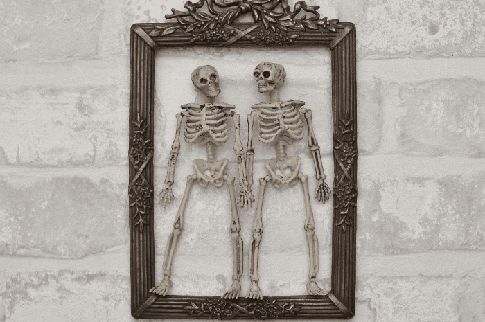Cadre d'Halloween orné de deux squelettes