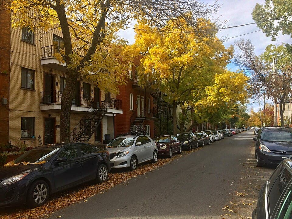 Arbres d'automne