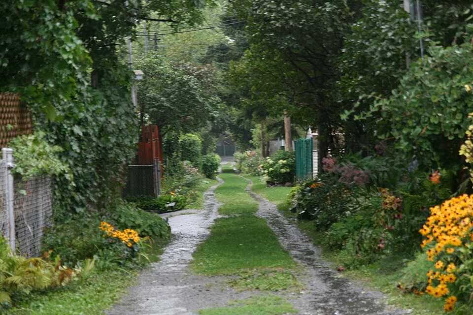 Ruelle verte