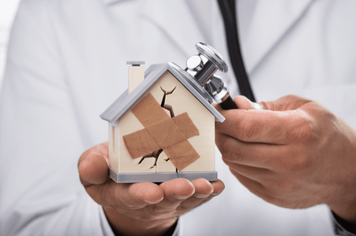Surnommée le « cancer du bâtiment », la mérule exige un diagnostic précis avant tout traitement.