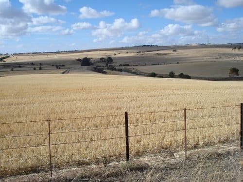 Farmland