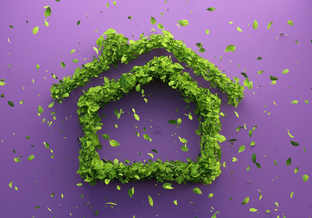 Maisons écologiques au Québec feuillage