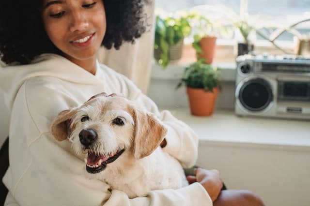 Bien vivre en condo : surveillez votre animal