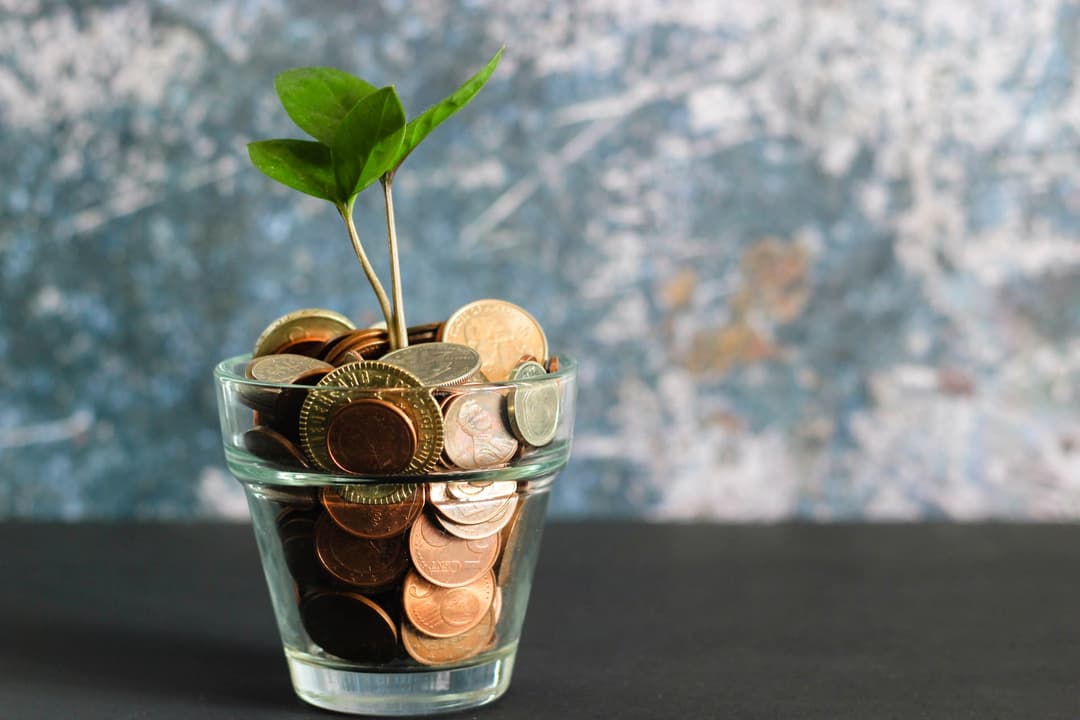 Some money and a plant