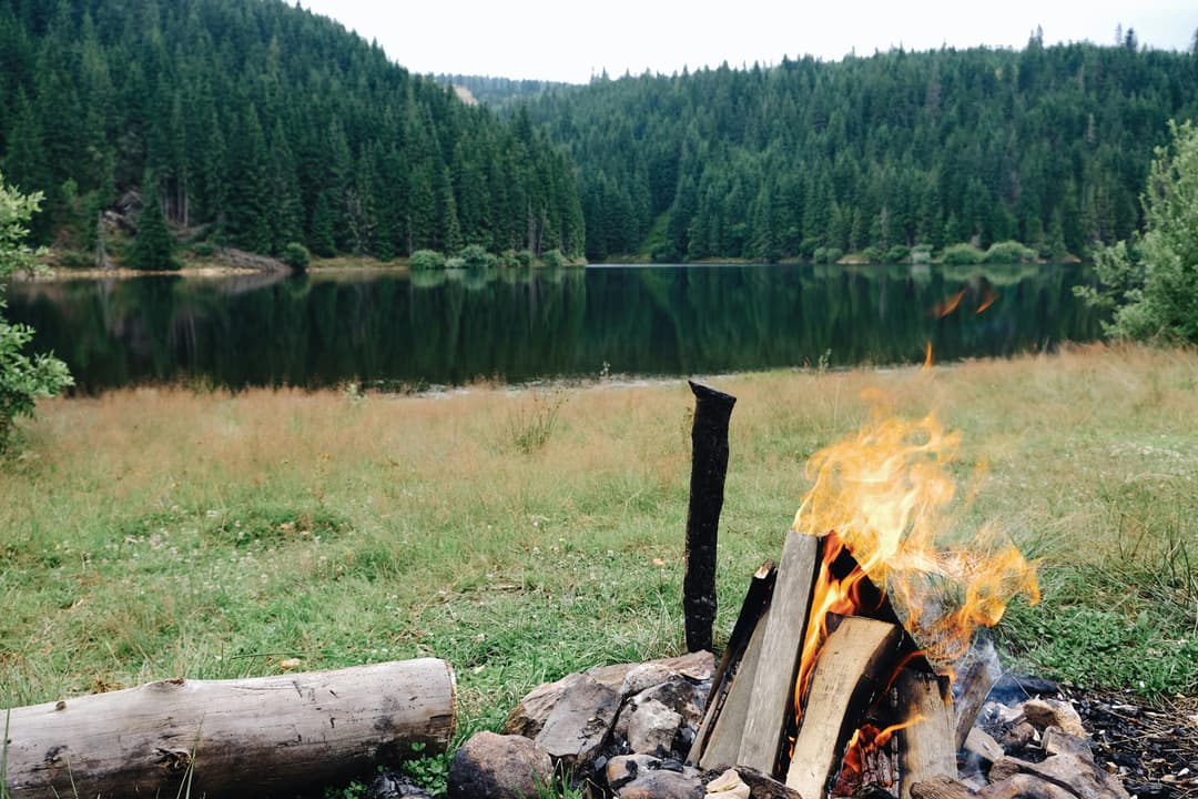 Grillade de viande sur les flammes