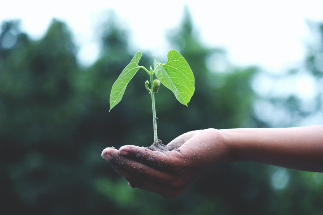 Agissons ensemble contre le changement climatique