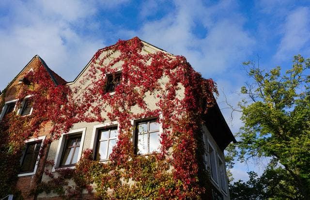 Les implications de la vente d'une copropriété indivise