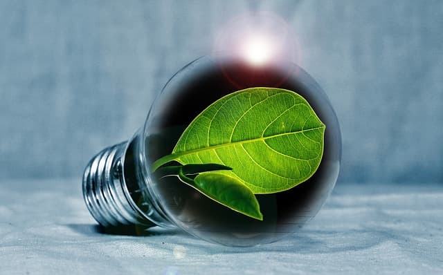 Une ampoule plus écologique