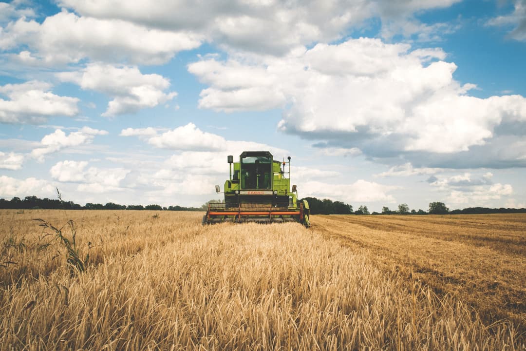 Exploitation agricole à vendre : quoi savoir avant d'acheter