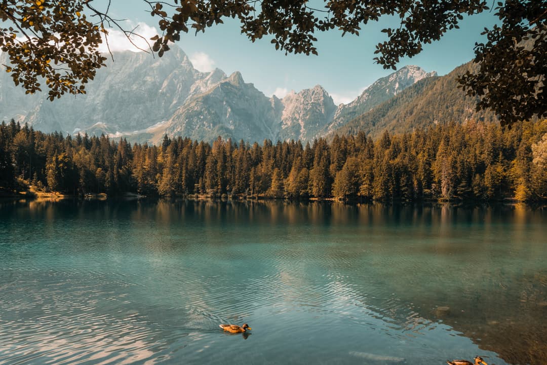 Un lac pour l'achat d'une maison au bord de l'eau