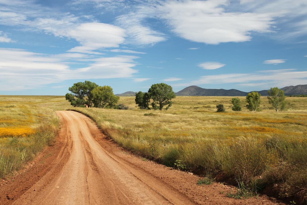 Route de campagne