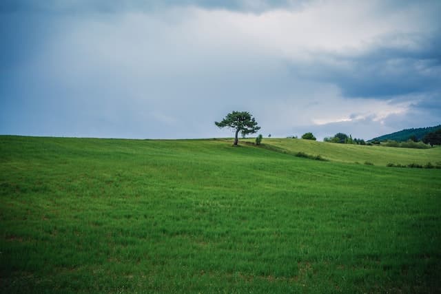 Terrain vacant pouvant être acquis par un non-Canadien