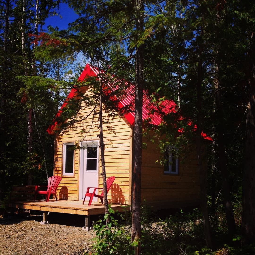 Micro chalet nature Forestier extérieur