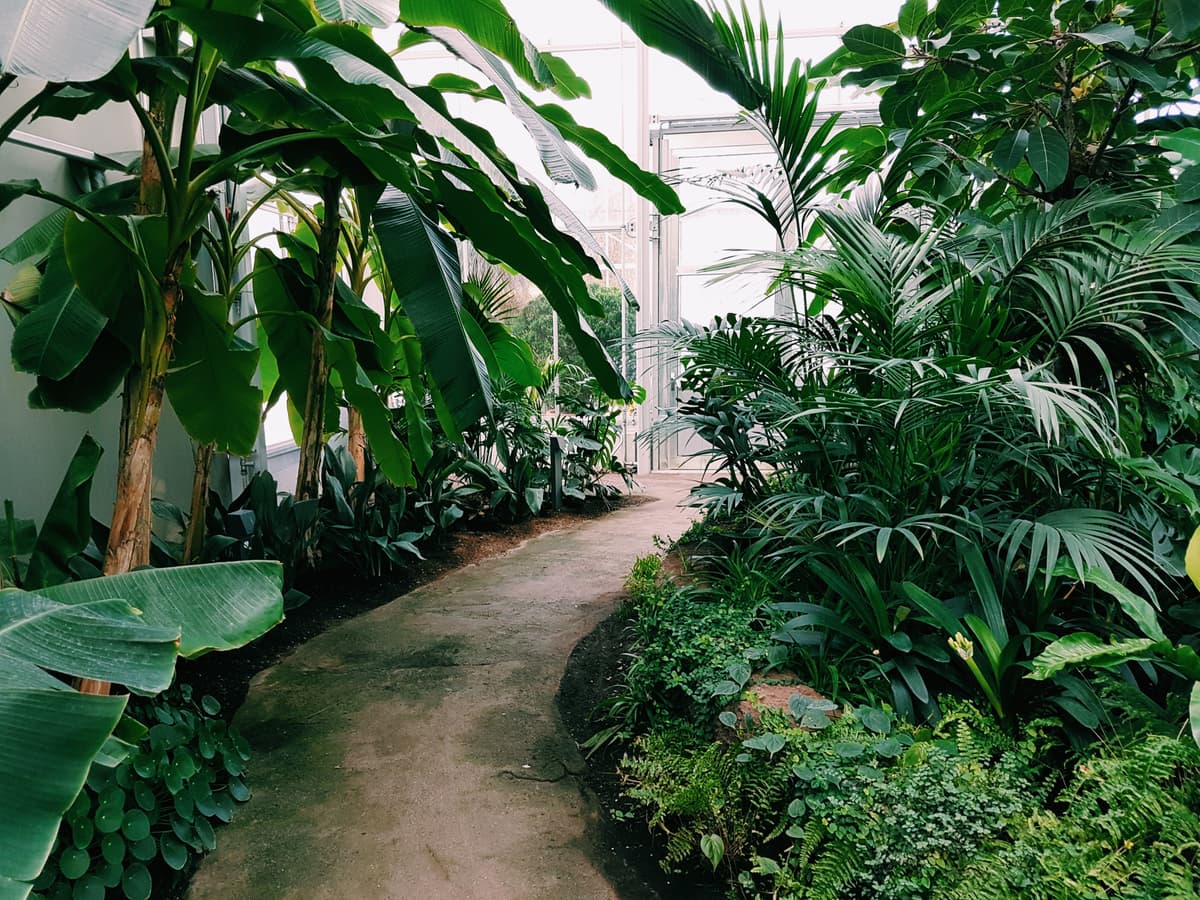 La nature dans un environnement intérieur