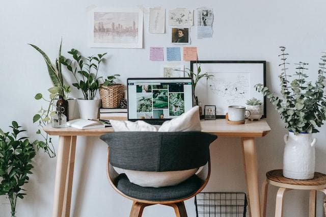Ajoutez des plantes et une touche de nature à votre bureau