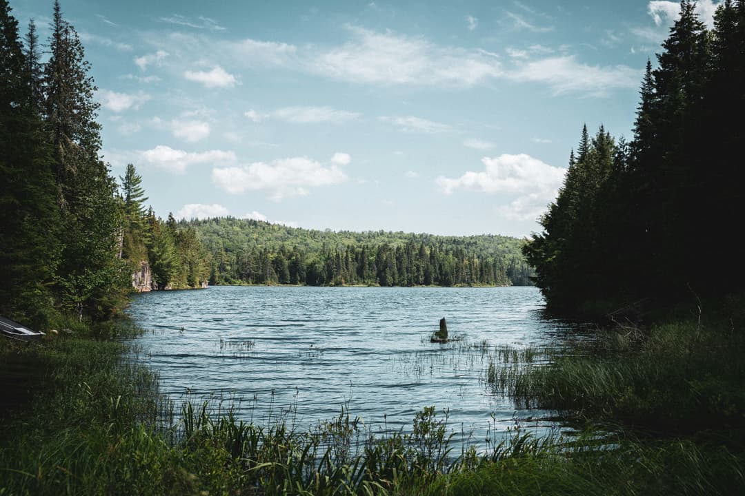Un parc situé à Châteauguay