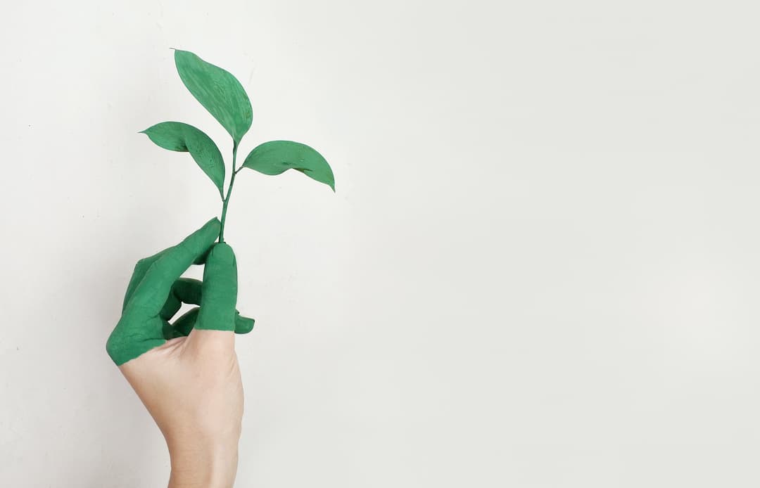 Le ménage écologique : qu'est-ce que c'est ?