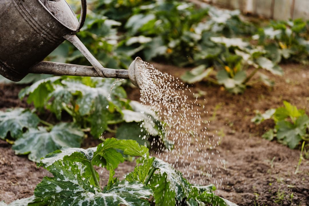 À quelle période de l'année commencer son jardin ?