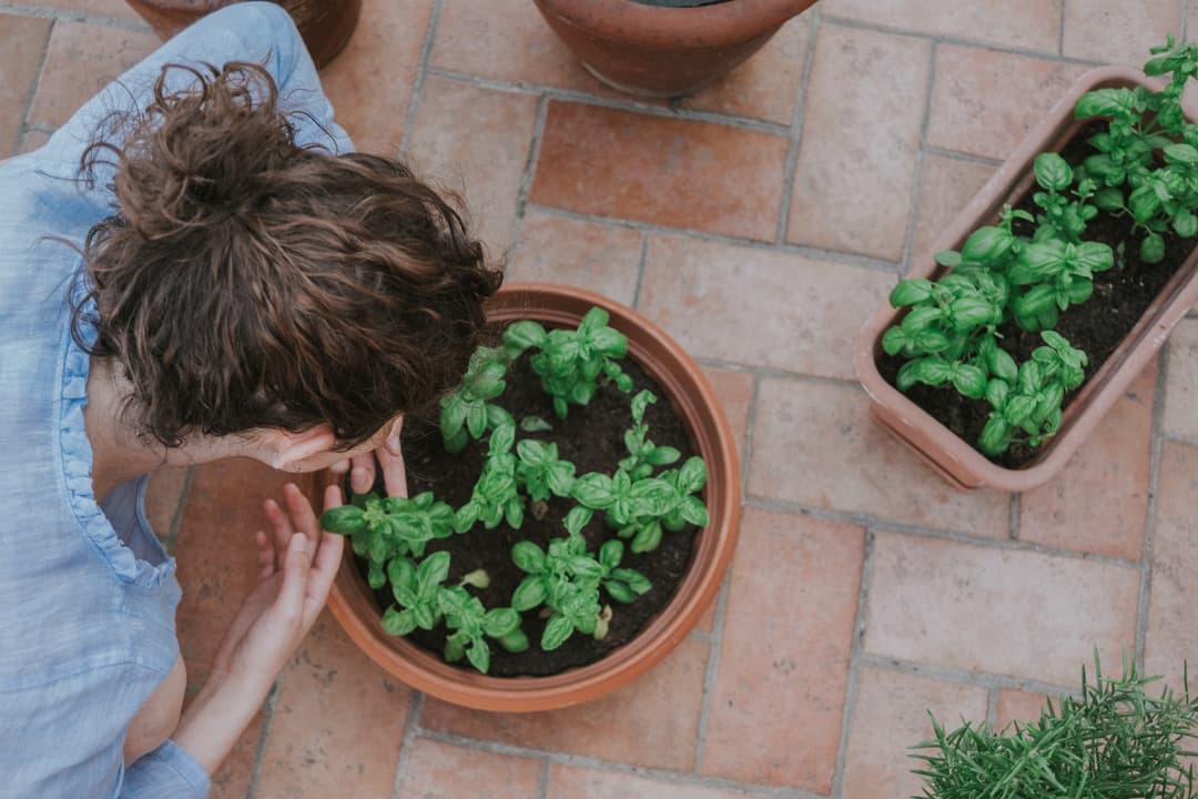 Quel taille doit avoir votre jardin ?