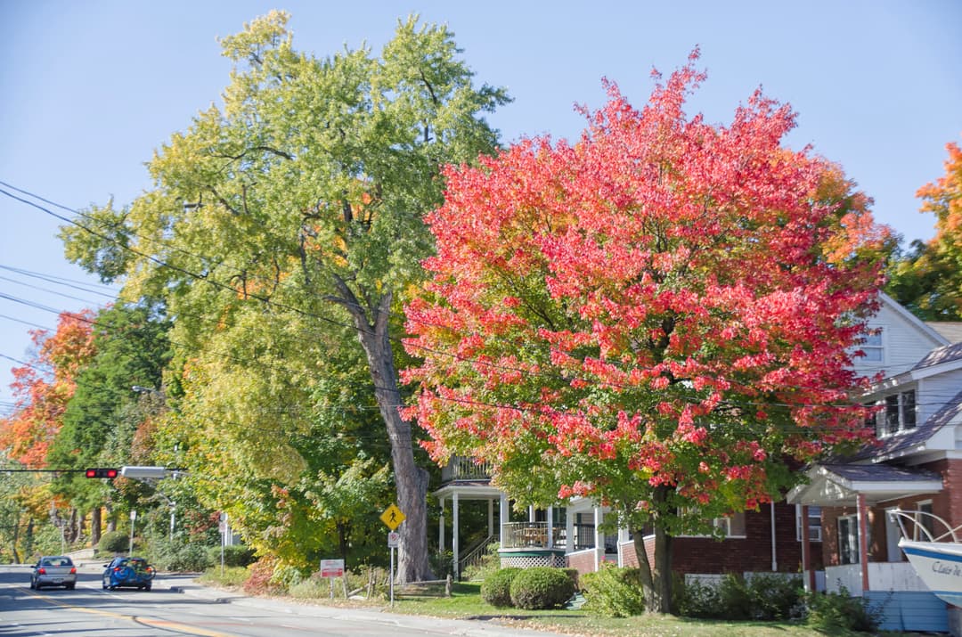 Ville Sherbrooke immobilier maison_ Habitam
