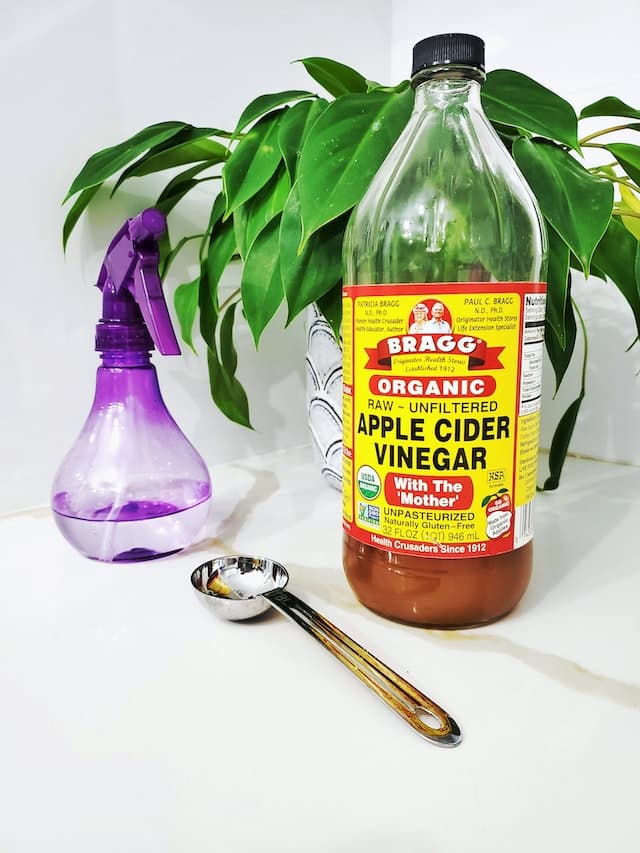 Vinaigre de cidre et cuillère pour faire un produit anti-drosophile maison