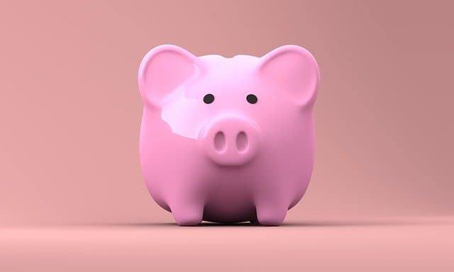 cochon rose_Réduire ses mensualités grâce à l'IAPP_XpertSource