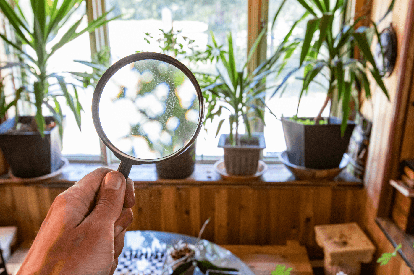 Comment tester la qualité de l'air dans une maison ?