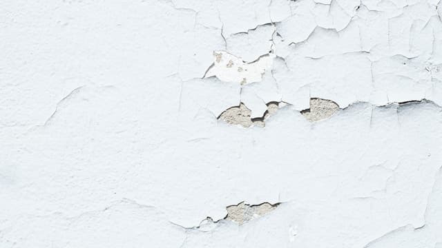 Mur abimé par l'humidité
