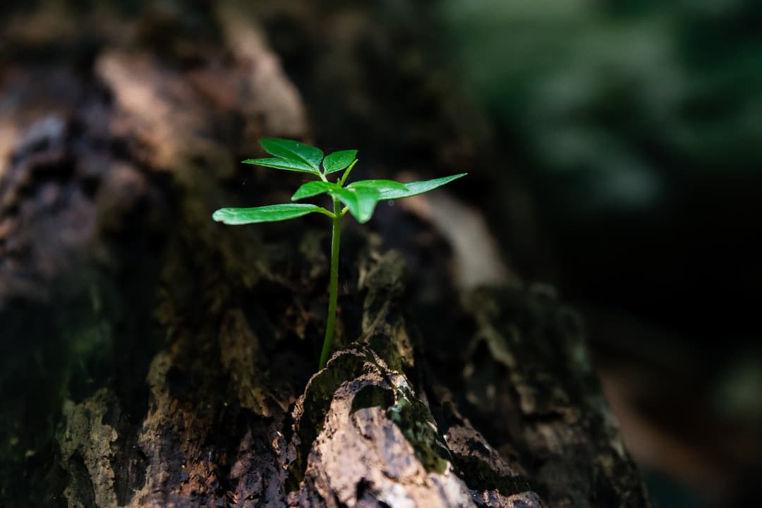 Des gestes concrets pour l'environnement