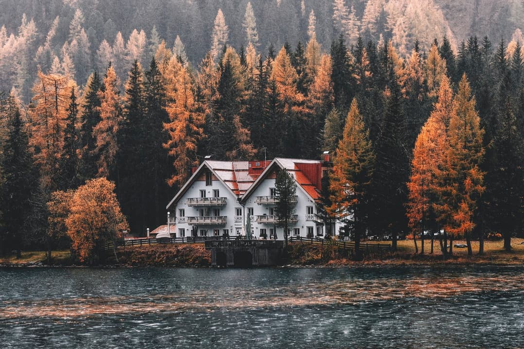 Assurer son chalet en forêt