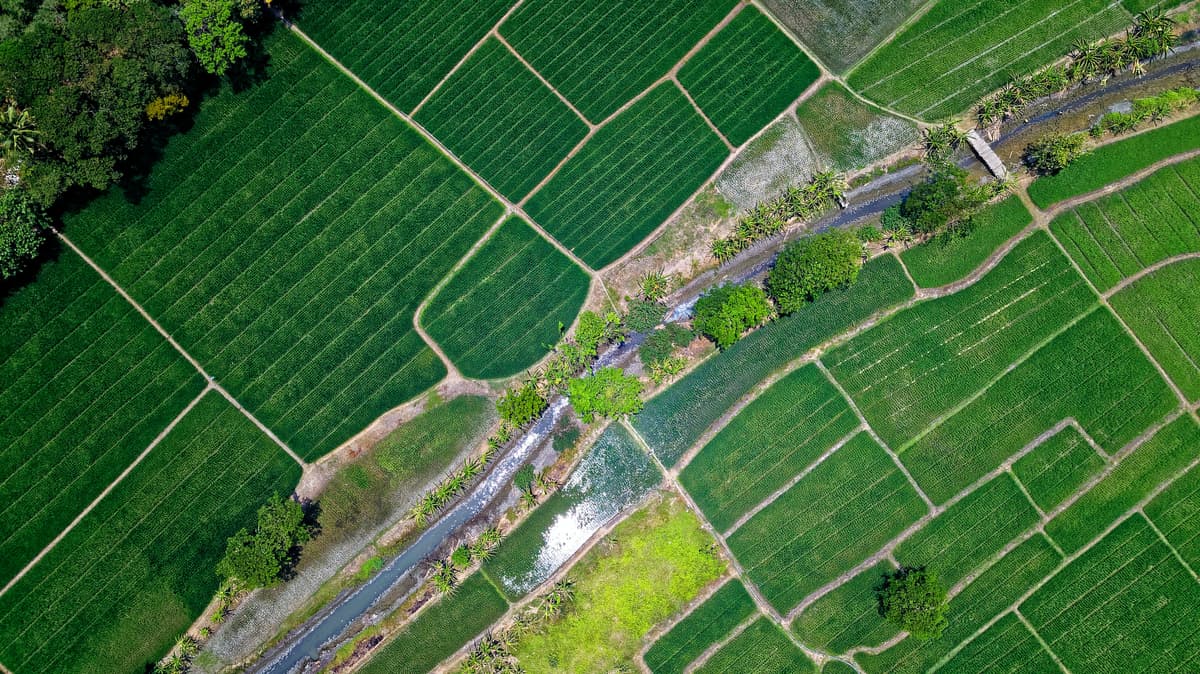 La Loi sur l'acquisition des terres agricoles par des non-résidents