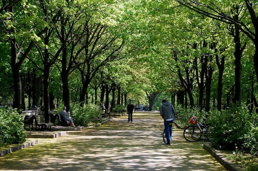Parc verdoyant
