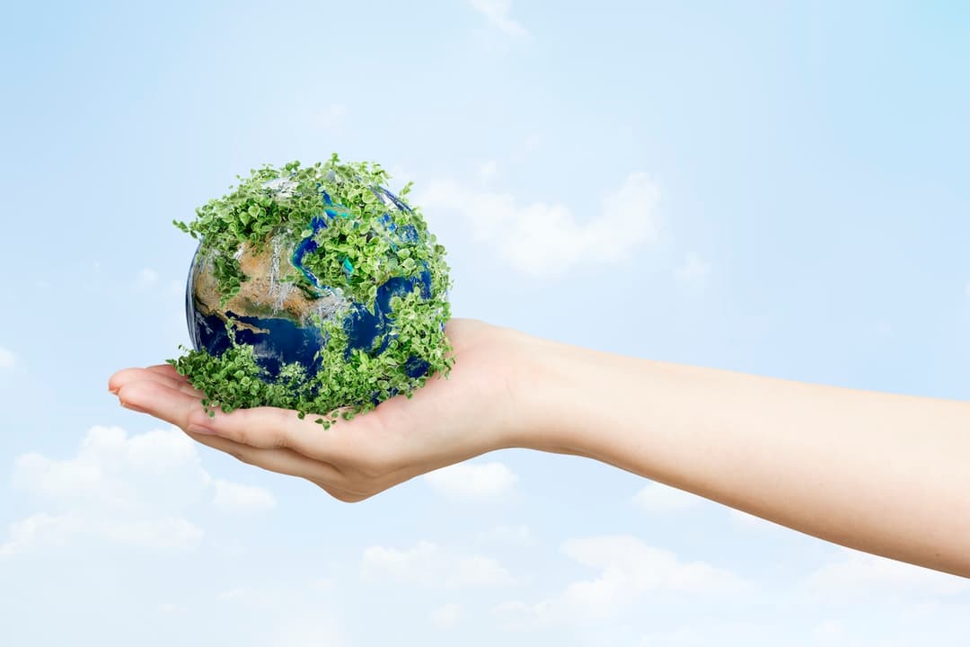 Le développement durable et l'écologique à Victoriaville