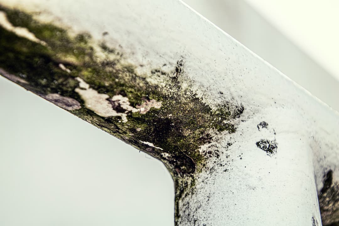 Infiltration d'eau et moisissure : les signes d'un problèmes de fondation